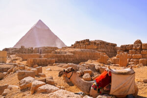 Gallery Thumbnail 1