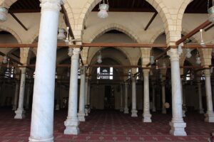 Gallery Thumbnail 6