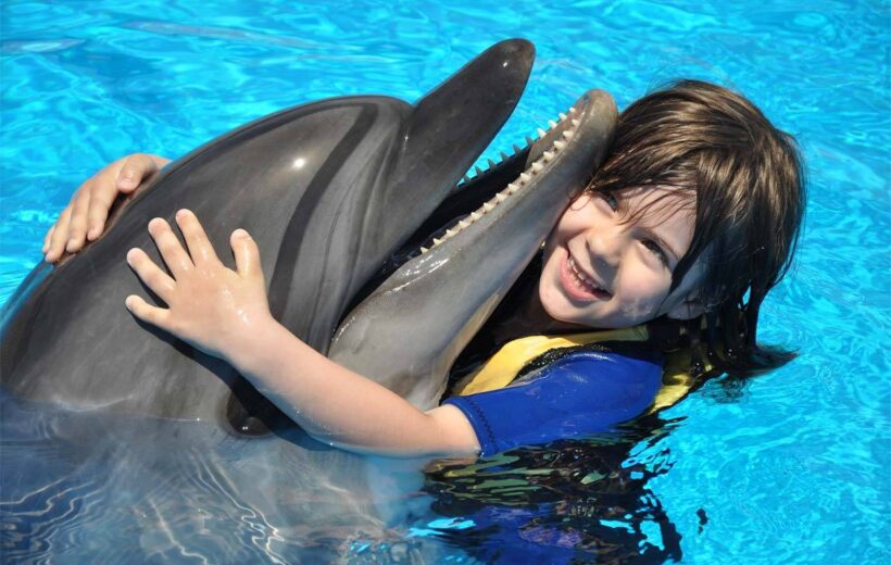 Dolphin House Snorkeling Adventure